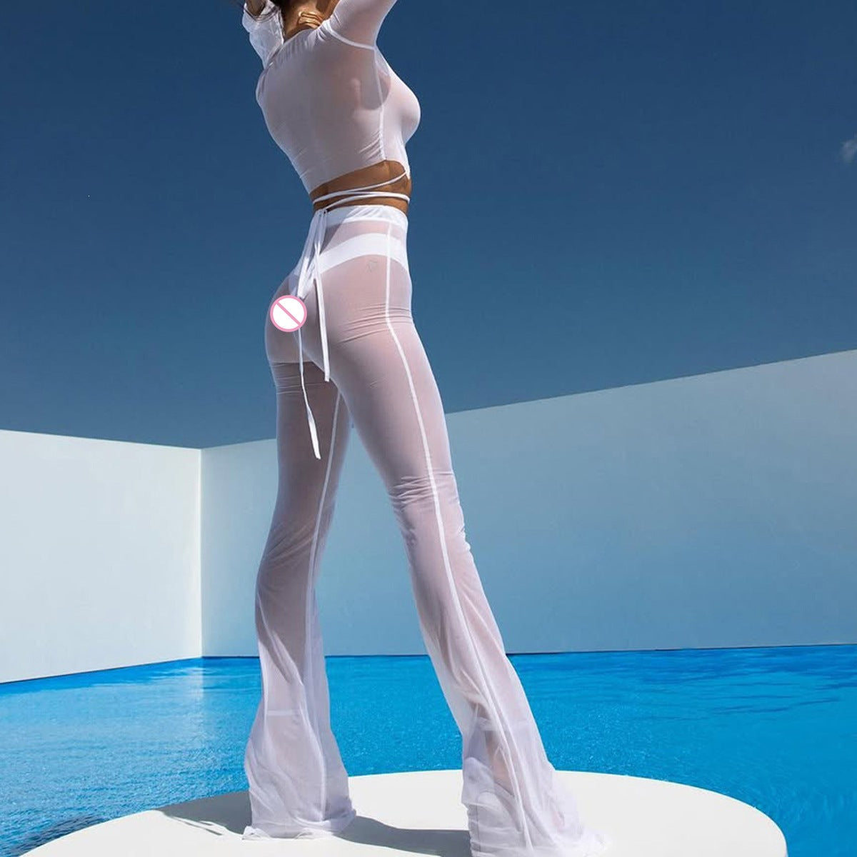 Sheer Mesh Wrap Crop Top & Pants Set