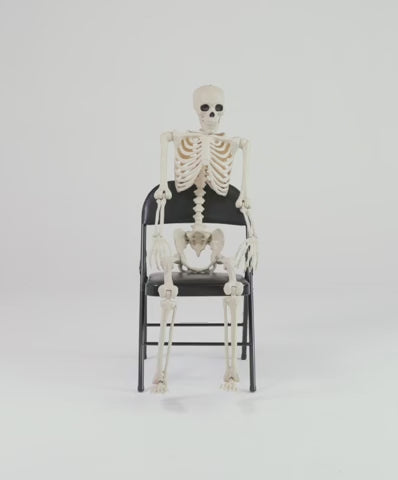 Men's Hooded Zip-Front Skeleton Costume Onesie