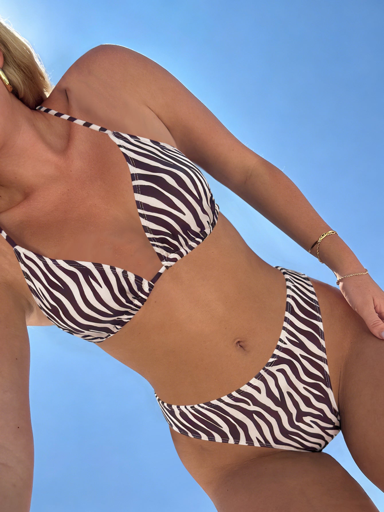 Savanna Animal-Print Padded Halter Bikini Set